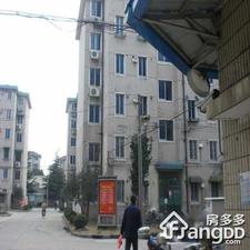 民乐社区南苑六村小区图片