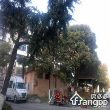 临沂八村小区图片