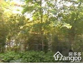 珍宝公寓小区图片