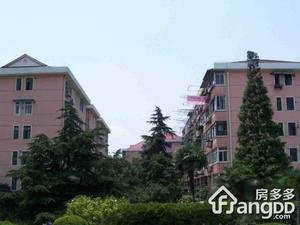 虹仙小区小区图片