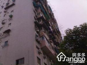 市益大楼小区图片