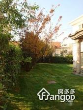 钦州路785弄小区图片