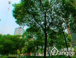 金兰花苑小区图片