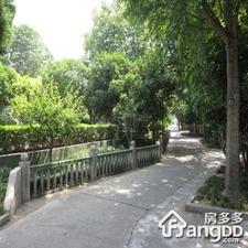 海棠新村小区图片
