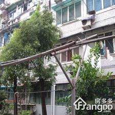 东照里小区图片