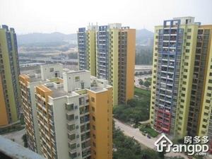 金沙洲小区小区图片