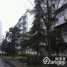 政通路311弄小区图片