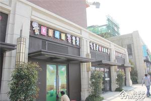 上坤旭辉墅小区图片