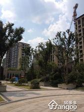 保利叶之林小区图片