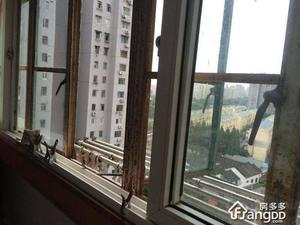 金杨新村八街坊小区图片
