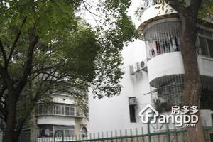 滨江新村小区图片