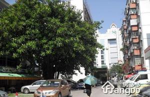 动力小区小区图片