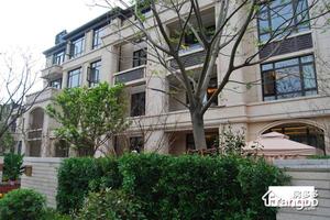 新弘国际城(公寓)小区图片