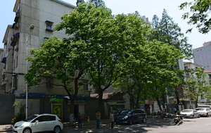 清溪路5号小区图片