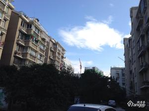 三里新城柳苑小区图片