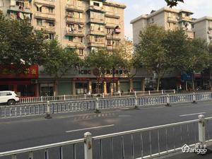 树园小区小区图片