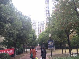 盈嘉香榴湾小区图片
