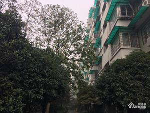 南肖埠庆春苑小区图片