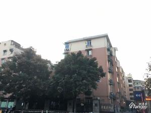 凯旋新村小区图片