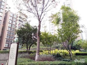 世纪新筑小区图片