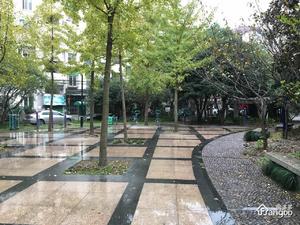 古荡新村西小区图片