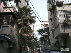 小市村小区图片