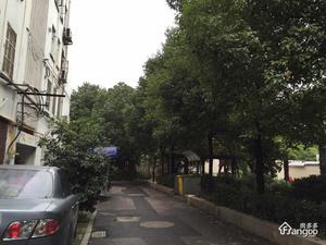 锁金二村小区图片