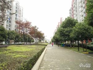 丹佛小镇小区图片