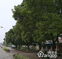 镇南新村小区图片