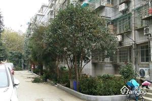 教工新村(迈皋桥)小区图片