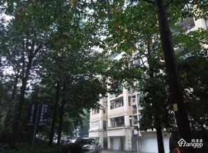 南肖埠文景苑小区图片