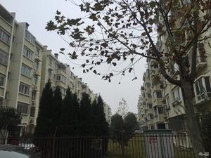 大华锦绣华城临江苑小区图片