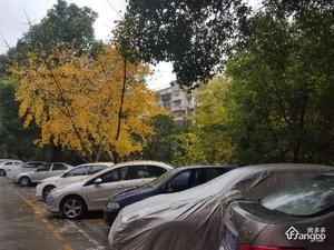 达美御园小区图片