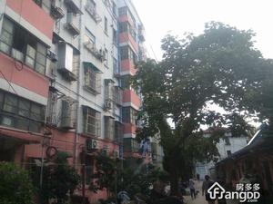 虎踞北路183号小区图片