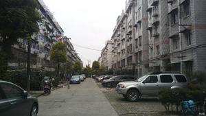泗塘五村小区图片