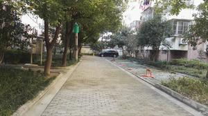 观景新村小区图片