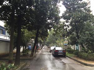金塘新村小区图片