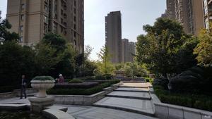 三花现代城金兰苑小区图片