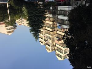 泰达新寓小区图片