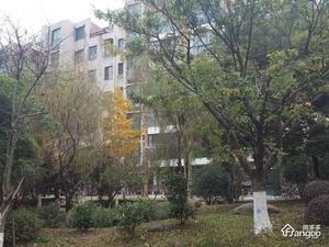 碧水云天小区图片