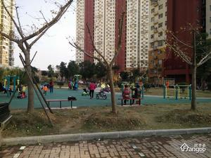 莲花新城南苑小区图片