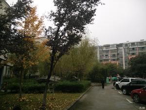 花神美境小区图片