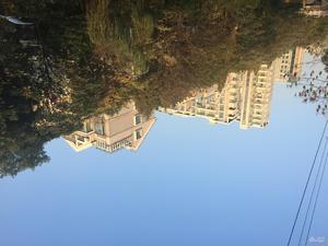 苏建豪庭小区图片