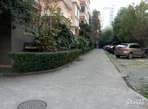 仲景公寓小区图片