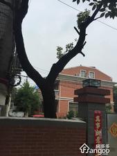 长青社区小区图片