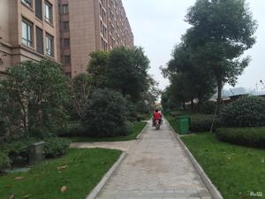 旭日学府小区图片