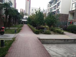 路劲凤凰城小区图片
