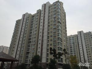 锦荷苑小区图片