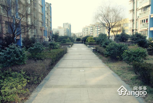 黄埔鑫园小区图片