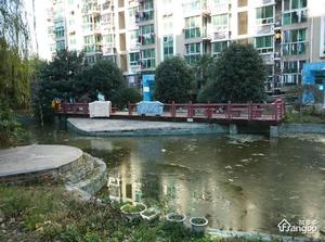 锦虹美苑小区图片